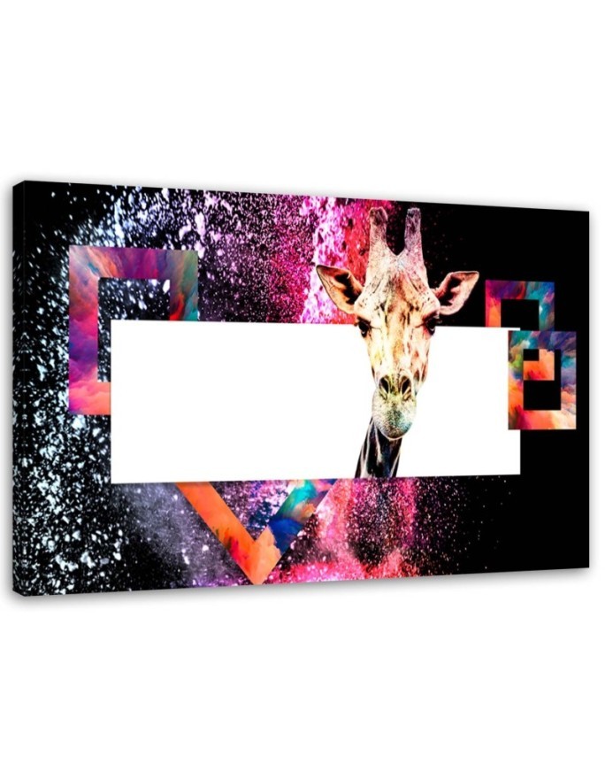 Bild - Mehrfarbige Giraffe auf schwarzem Hintergrund | Feeby