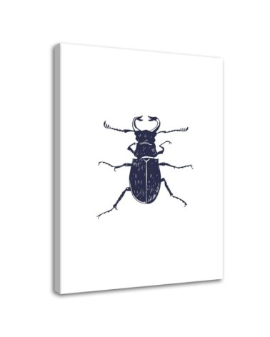 Black beetle- Modern Wall art decoration for living room | FEEBY