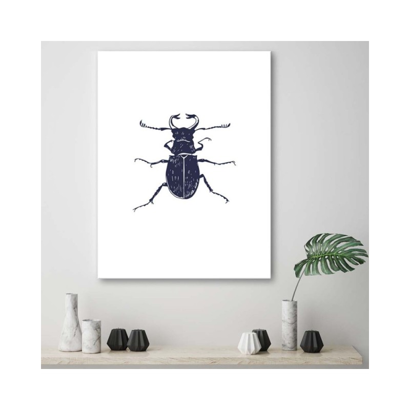 Leinwandbild - Schwarzmaikäfer | Feeby
