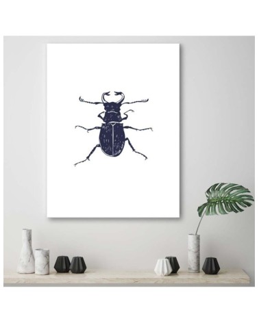 Leinwandbild - Schwarzmaikäfer | Feeby