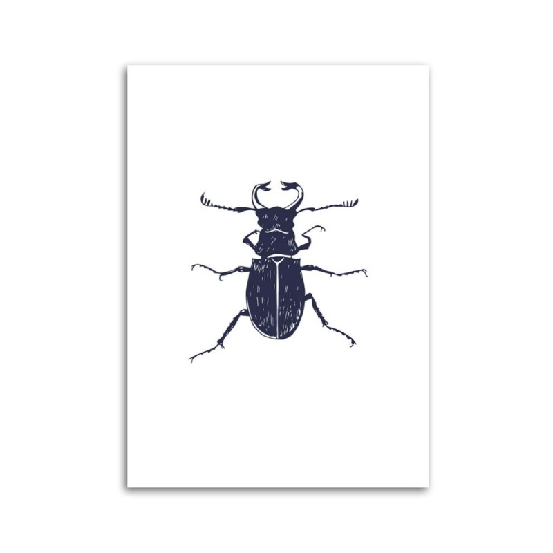 Leinwandbild - Schwarzmaikäfer | Feeby