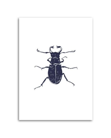 Leinwandbild - Schwarzmaikäfer | Feeby