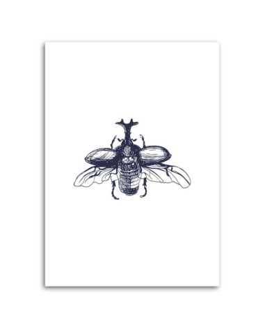Modernes Wandbild - Fliegender Käfer | Feeby