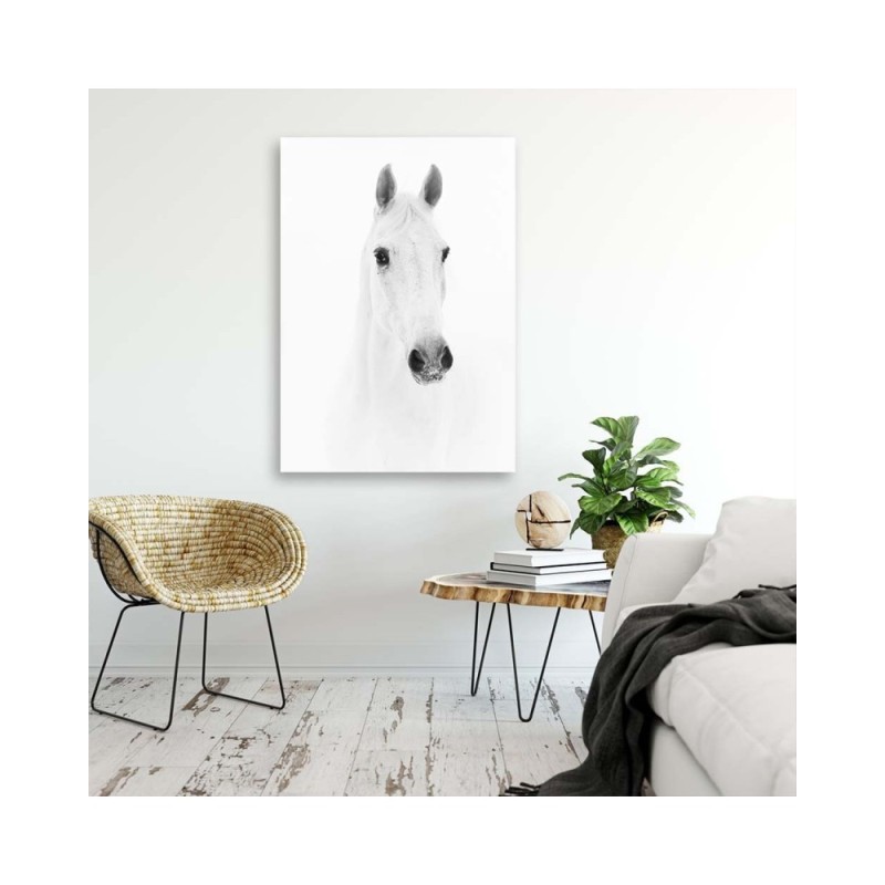 Leinwandbild - Graues Pferd | Feeby