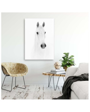 Leinwandbild - Graues Pferd | Feeby