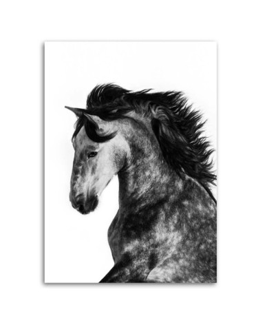 Wandbild für Wohnzimmer - Wildes Roß | Feeby