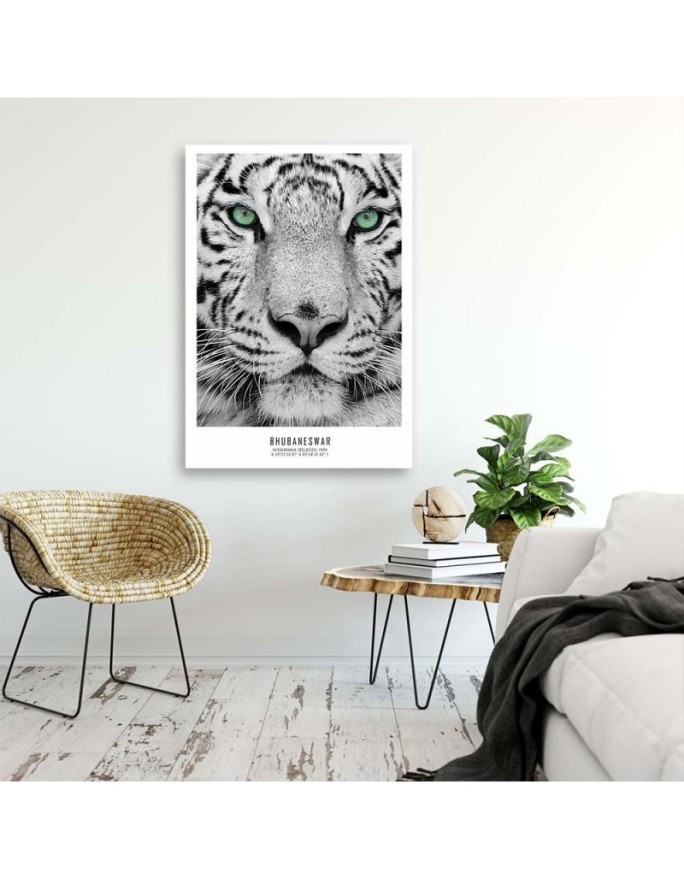 White tiger - Modern wall art decoration for living room | FEEBY