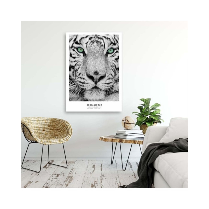 Modernes Wandbild - Weißer Tiger | Feeby