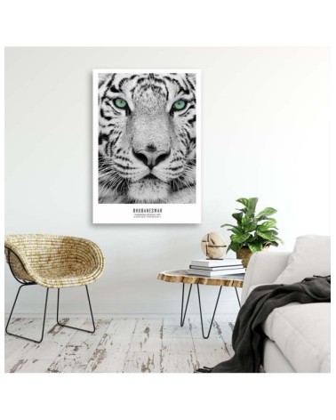 Modernes Wandbild - Weißer Tiger | Feeby