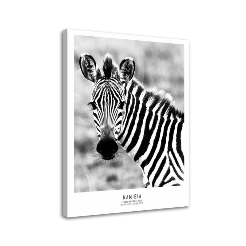 Dekoratives Leinwandbild - Neugieriges Zebra | Feeby