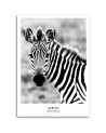 Nowoczesna dekoracja do salonu - Ciekawska zebra | FEEBY
