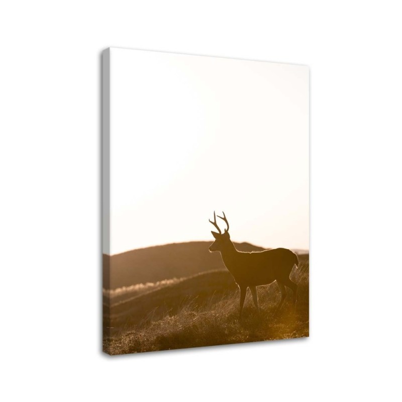 Leinwandbild - Junge Hirsche | Feeby