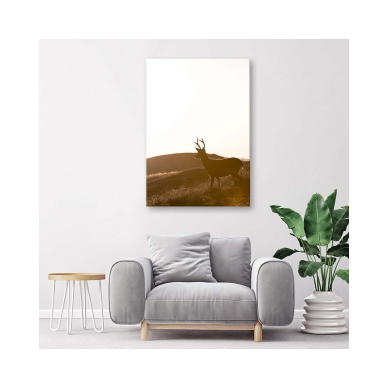 Leinwandbild - Junge Hirsche | Feeby
