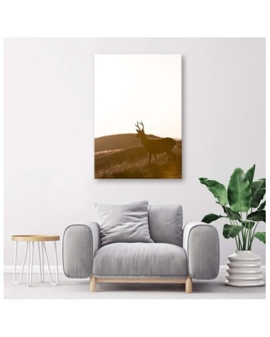 Leinwandbild - Junge Hirsche | Feeby