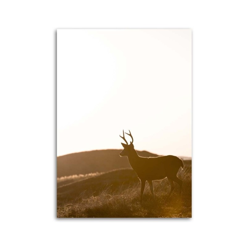 Leinwandbild - Junge Hirsche | Feeby