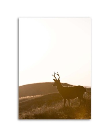 Leinwandbild - Junge Hirsche | Feeby