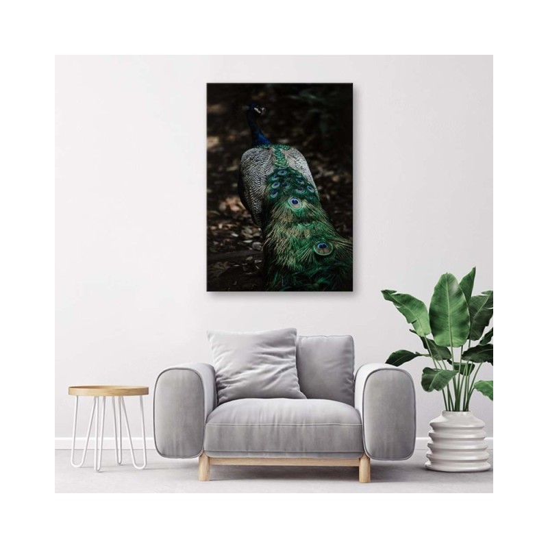 Bild auf Leinwand - Pfauenschwanz | Feeby