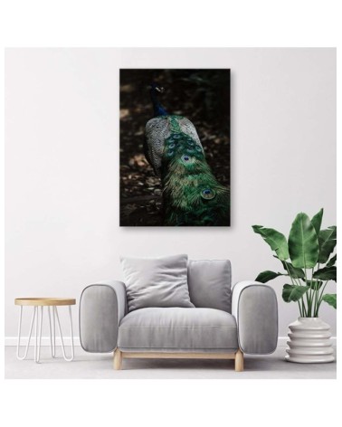 Bild auf Leinwand - Pfauenschwanz | Feeby