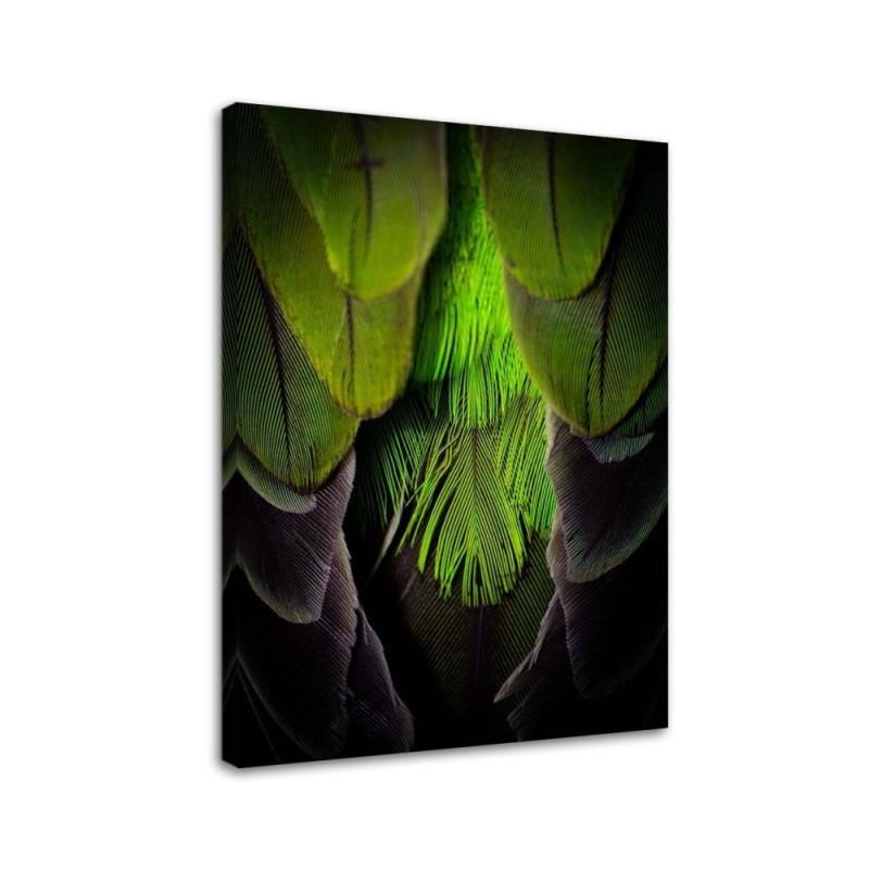 Leinwandbild - Grüne Federn | Feeby