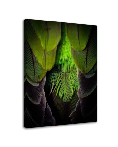 Decorative Canvas painting on canvas - Green feathers | FEEBY