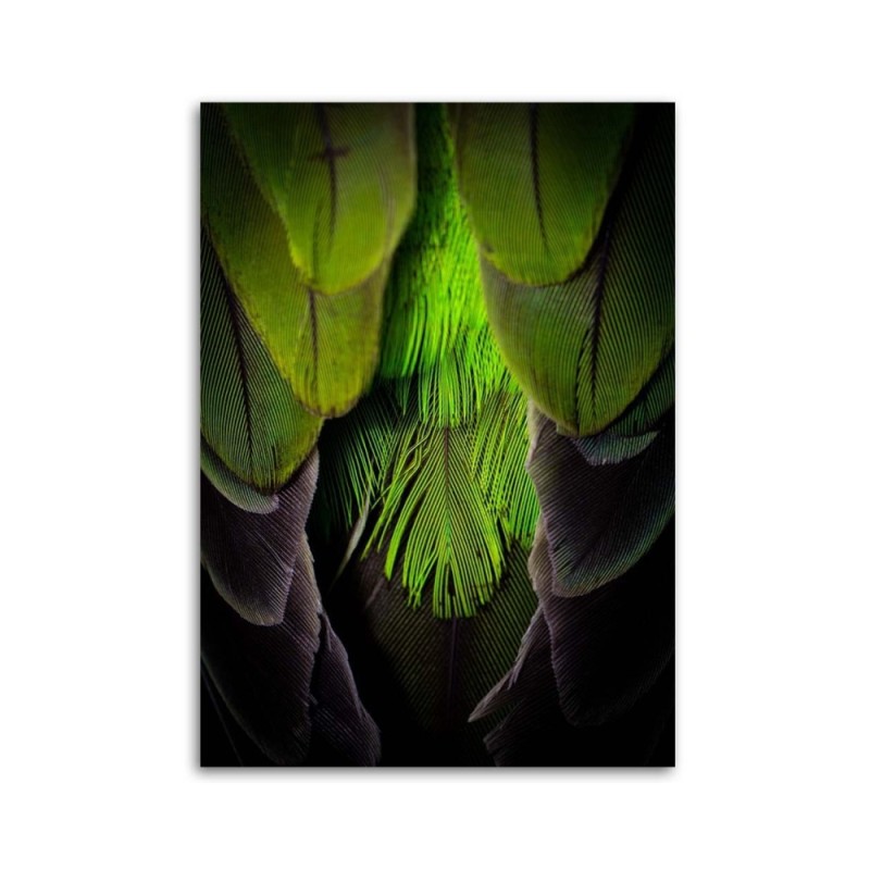 Leinwandbild - Grüne Federn | Feeby