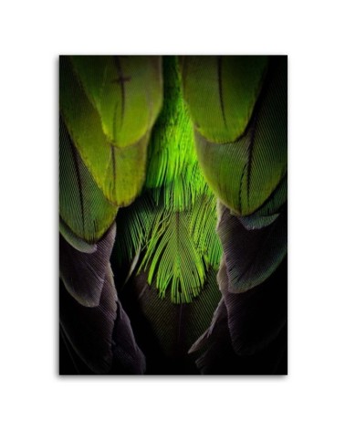 Leinwandbild - Grüne Federn | Feeby