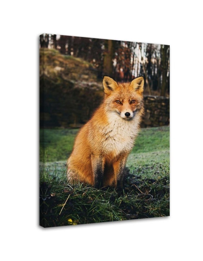 Leinwandbild modern - Fuchs im Wald | Feeby