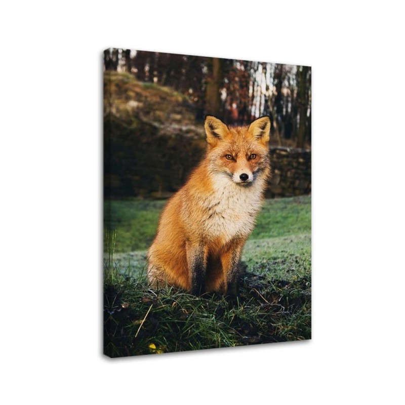 Leinwandbild modern - Fuchs im Wald | Feeby