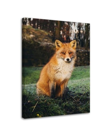 Decorative Canvas painting for living room - Fox in the forest - Canvas painting | FEEBY