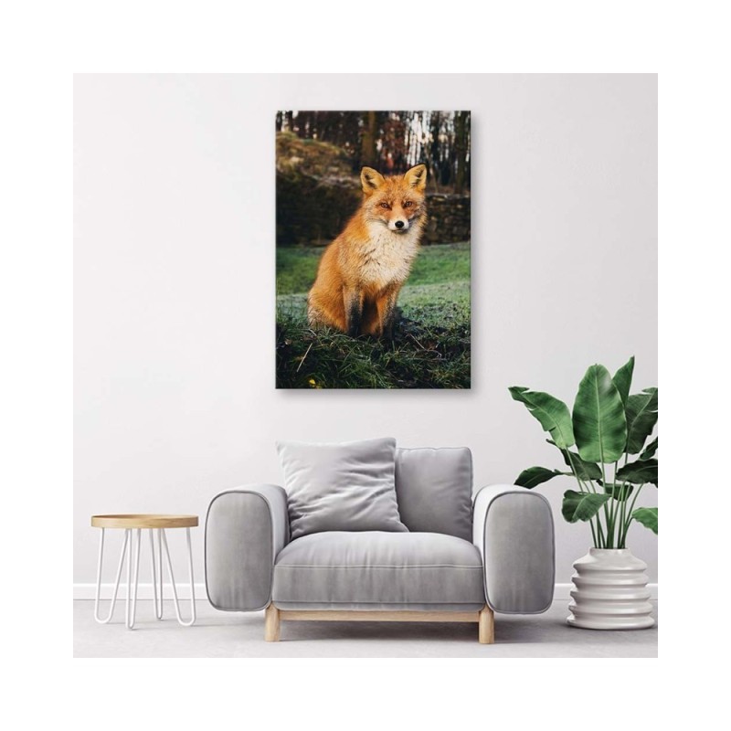 Leinwandbild modern - Fuchs im Wald | Feeby