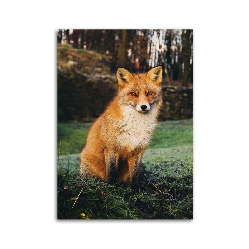 Leinwandbild modern - Fuchs im Wald | Feeby