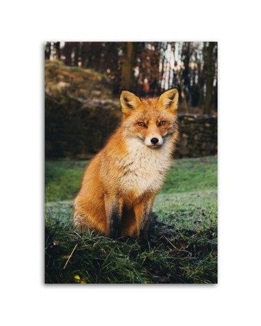 Leinwandbild modern - Fuchs im Wald | Feeby
