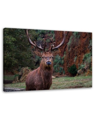 Canvas wall art painting - King of the forest - Living room decoration | FEEBY