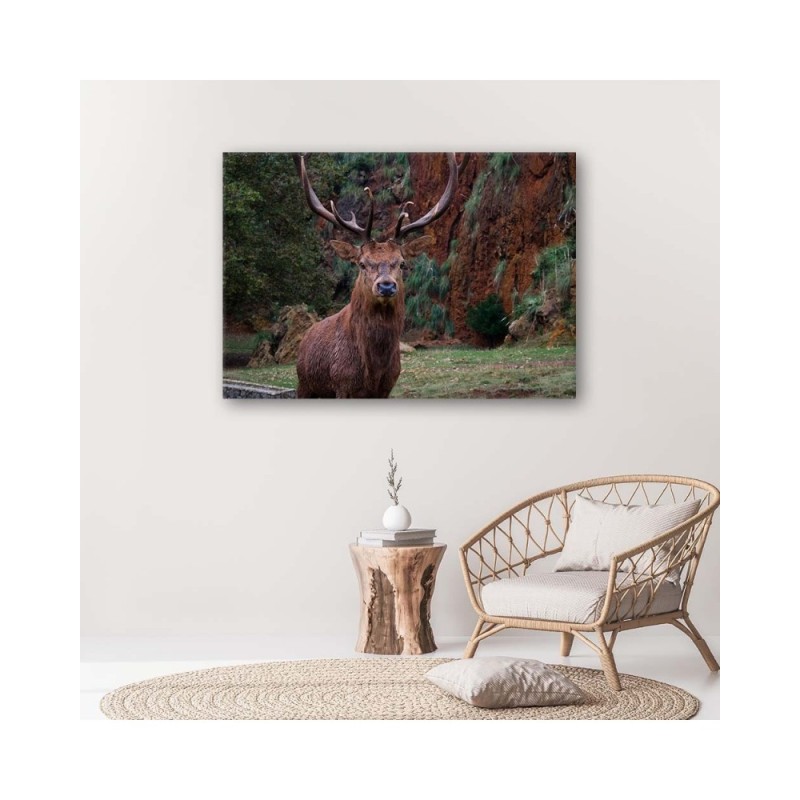 Bild auf Leinwand - König des Waldes | Feeby
