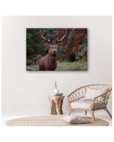 Bild auf Leinwand - König des Waldes | Feeby