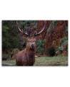 Canvas wall art painting - King of the forest - Living room decoration | FEEBY