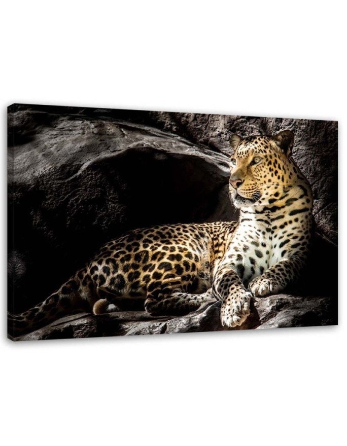 Modernes Wandbild - Leopard auf den Felsen | Feeby