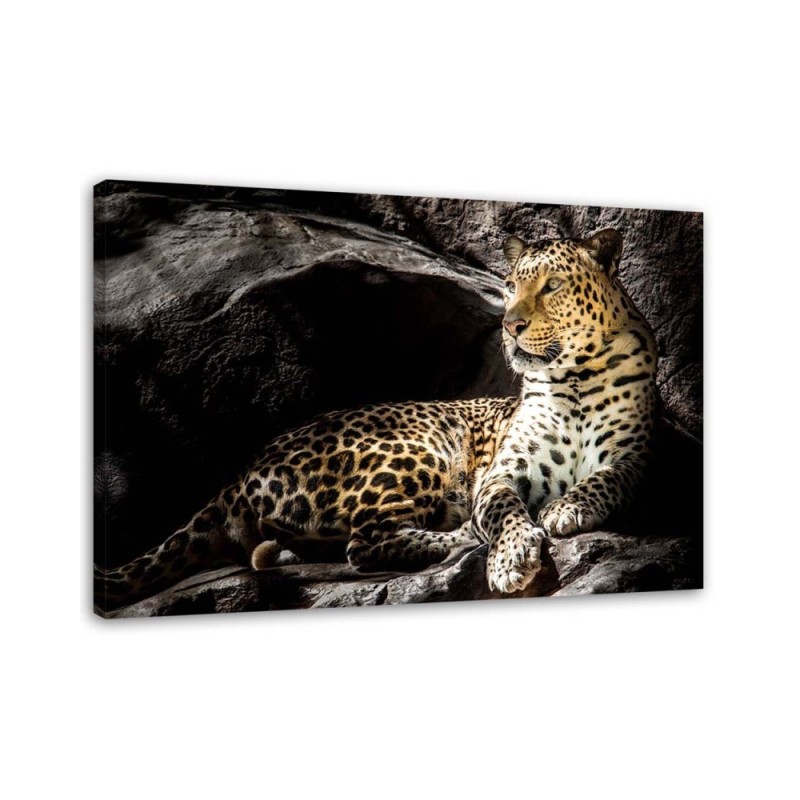 Modernes Wandbild - Leopard auf den Felsen | Feeby