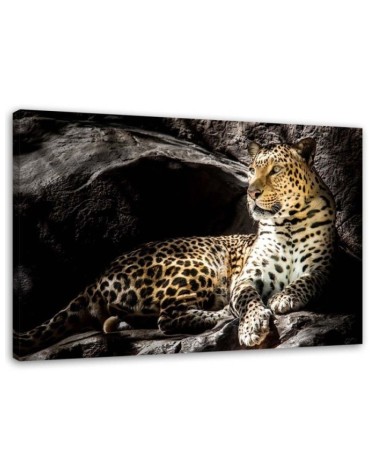 Modernes Wandbild - Leopard auf den Felsen | Feeby