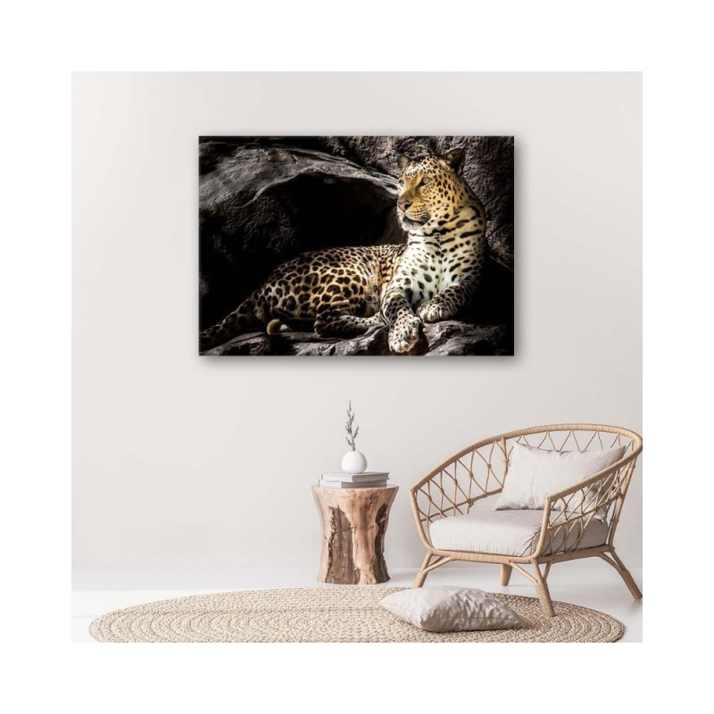 Modernes Wandbild - Leopard auf den Felsen | Feeby