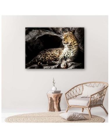 Modernes Wandbild - Leopard auf den Felsen | Feeby