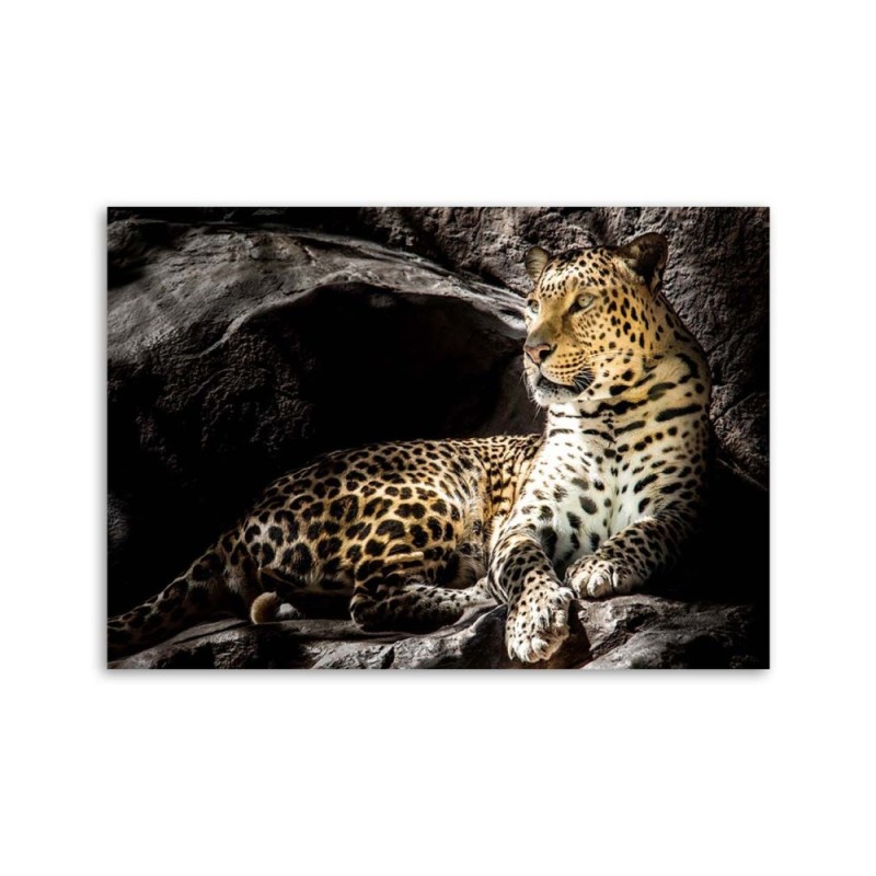 Modernes Wandbild - Leopard auf den Felsen | Feeby