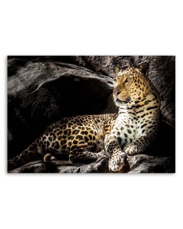 Modernes Wandbild - Leopard auf den Felsen | Feeby