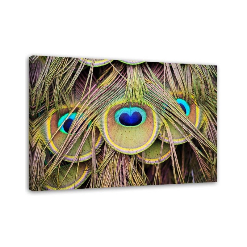 Wandbild für Wohnzimmer - Pfauenfeder | Feeby