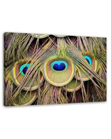 Wandbild für Wohnzimmer - Pfauenfeder | Feeby