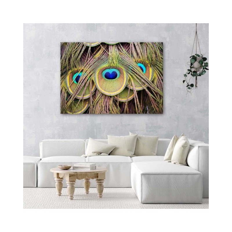 Wandbild für Wohnzimmer - Pfauenfeder | Feeby