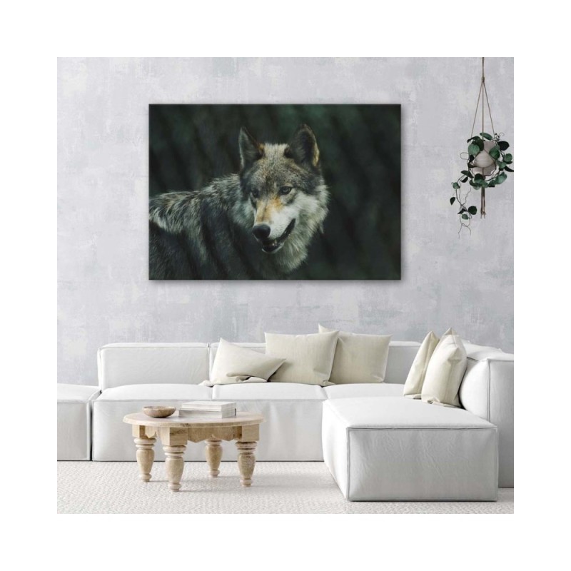 Modernes Wandbild - Grauer Wolf | Feeby