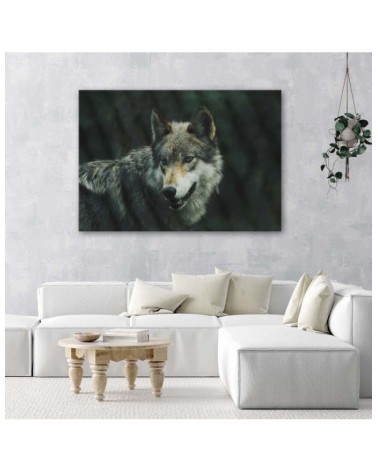 Modernes Wandbild - Grauer Wolf | Feeby