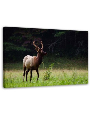 Deer in the meadow - Modern Canvas decoration for the living room | FEEBY