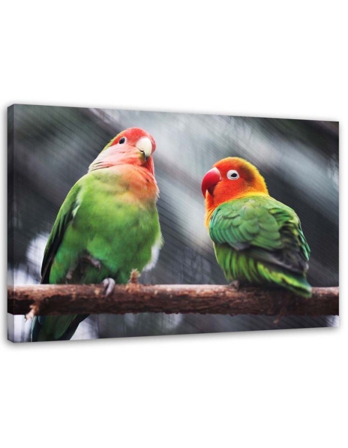 Kolorowe papugi - Obraz na płótnie canvas | FEEBY